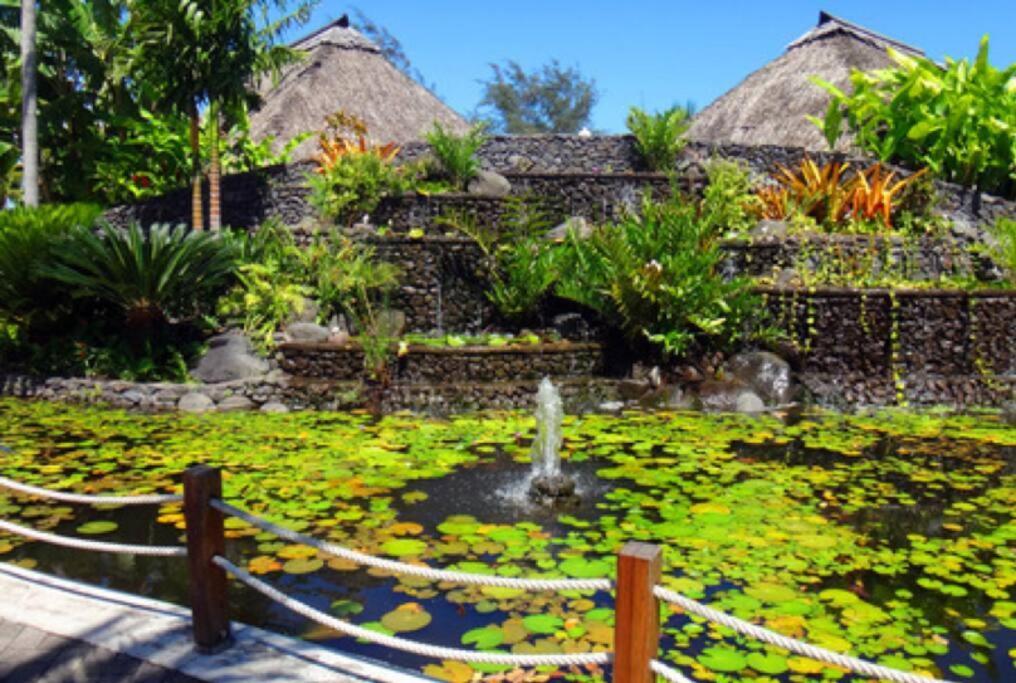 Leili Home - Papeete Papeete (Tahiti) Exterior foto